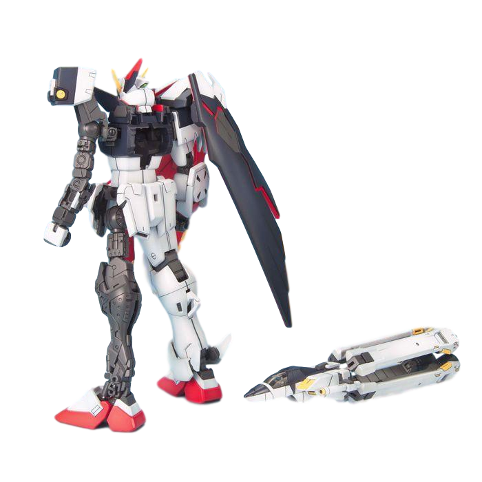 MG 1/100 CROSSBONE FULL CLOTH