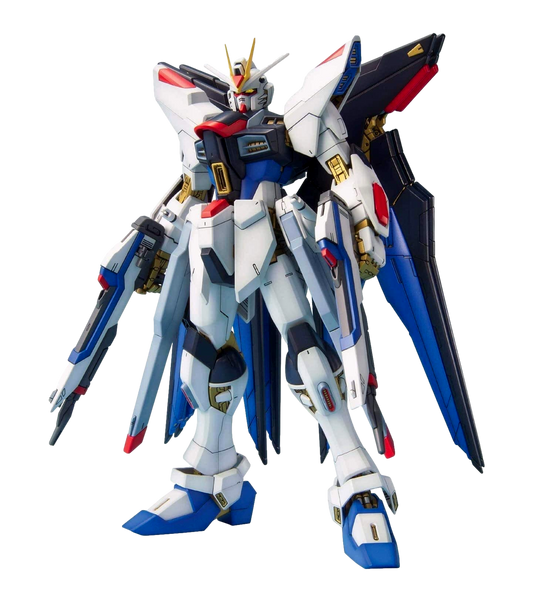 MG Strike Freedom Gundam