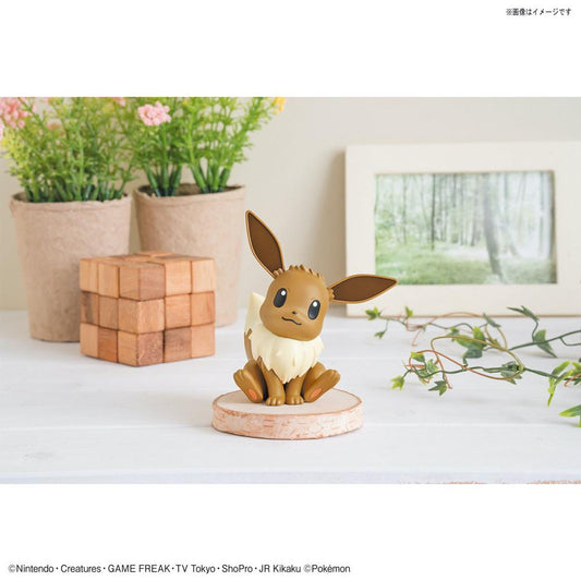 Pokémon Model Kit QUICK!! EEVEE