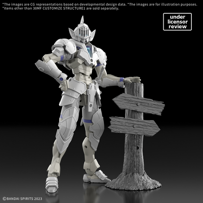 30MF CUSTOMIZE STRUCTURE1