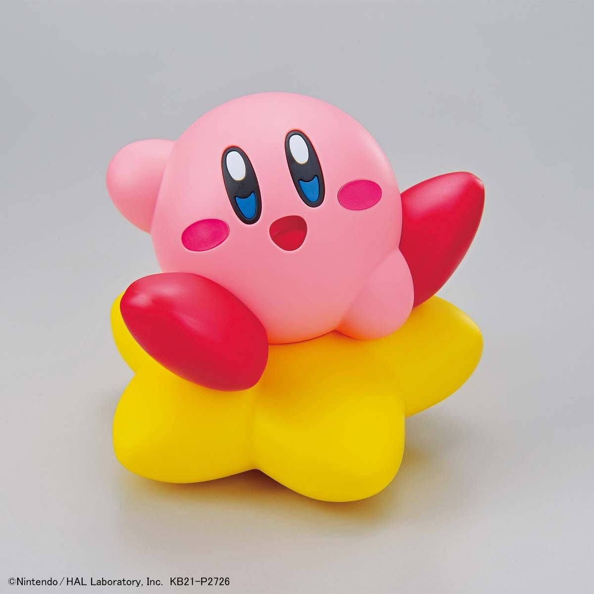 ENTRY GRADE KIRBY