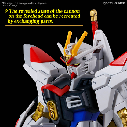HG 1/144 MIGHTY STRIKE FREEDOM GUNDAM