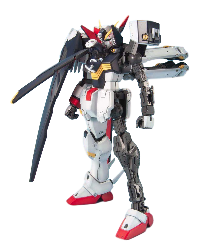 MG 1/100 CROSSBONE FULL CLOTH