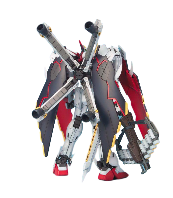 MG 1/100 CROSSBONE FULL CLOTH