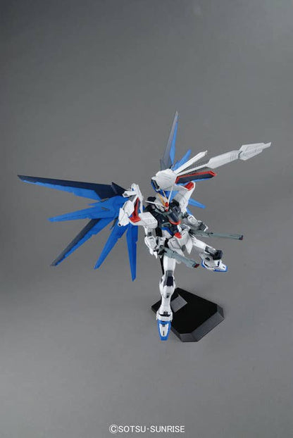 MG 1/100 FREEDOM GUNDAM Ver.2.0
