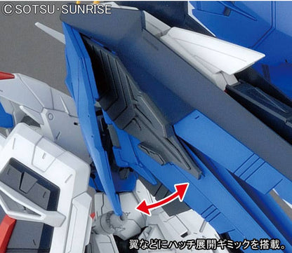 MG 1/100 FREEDOM GUNDAM Ver.2.0