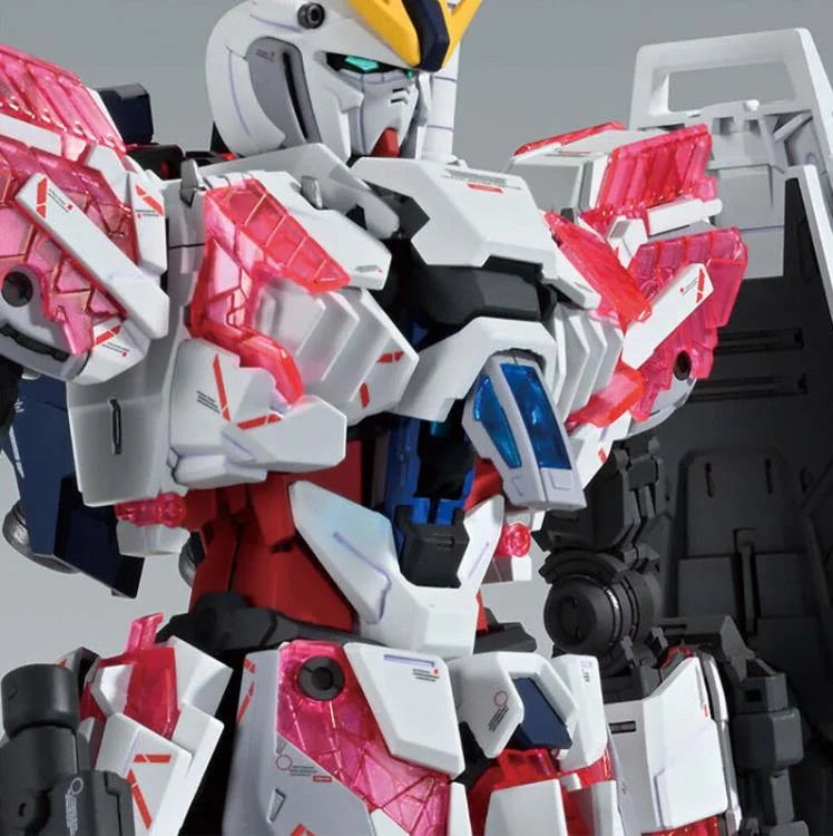 MG 1/100 NARRATIVE GUNDAM C-PACKS Ver.Ka