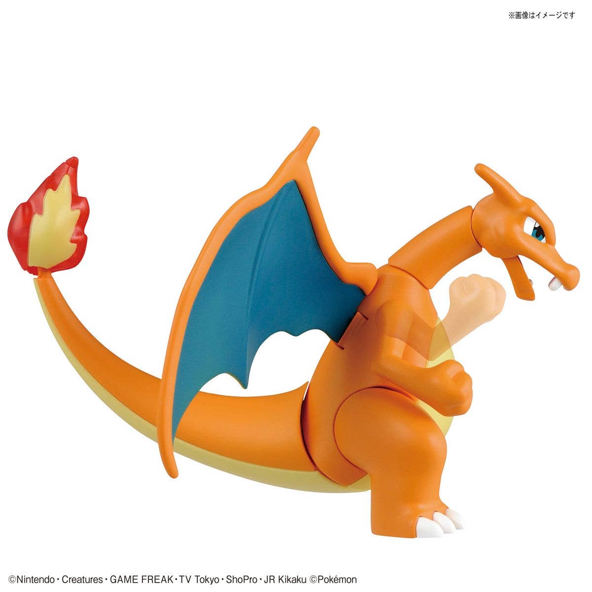 POKEMON MODEL KIT CHARIZARD & DRAGONITE