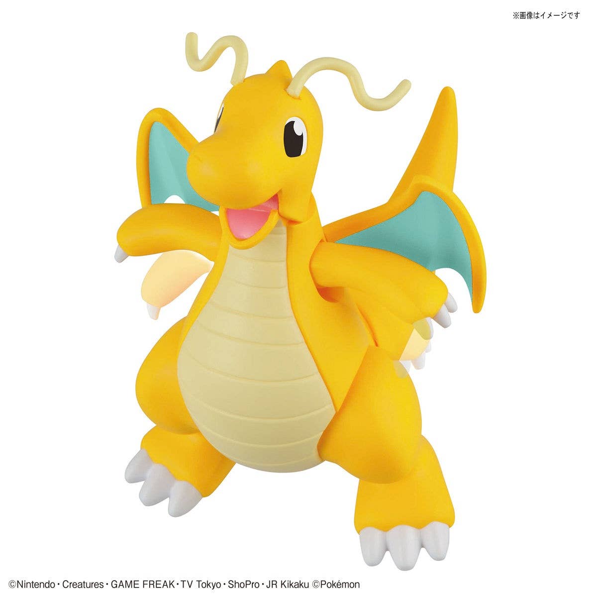 POKEMON MODEL KIT CHARIZARD & DRAGONITE