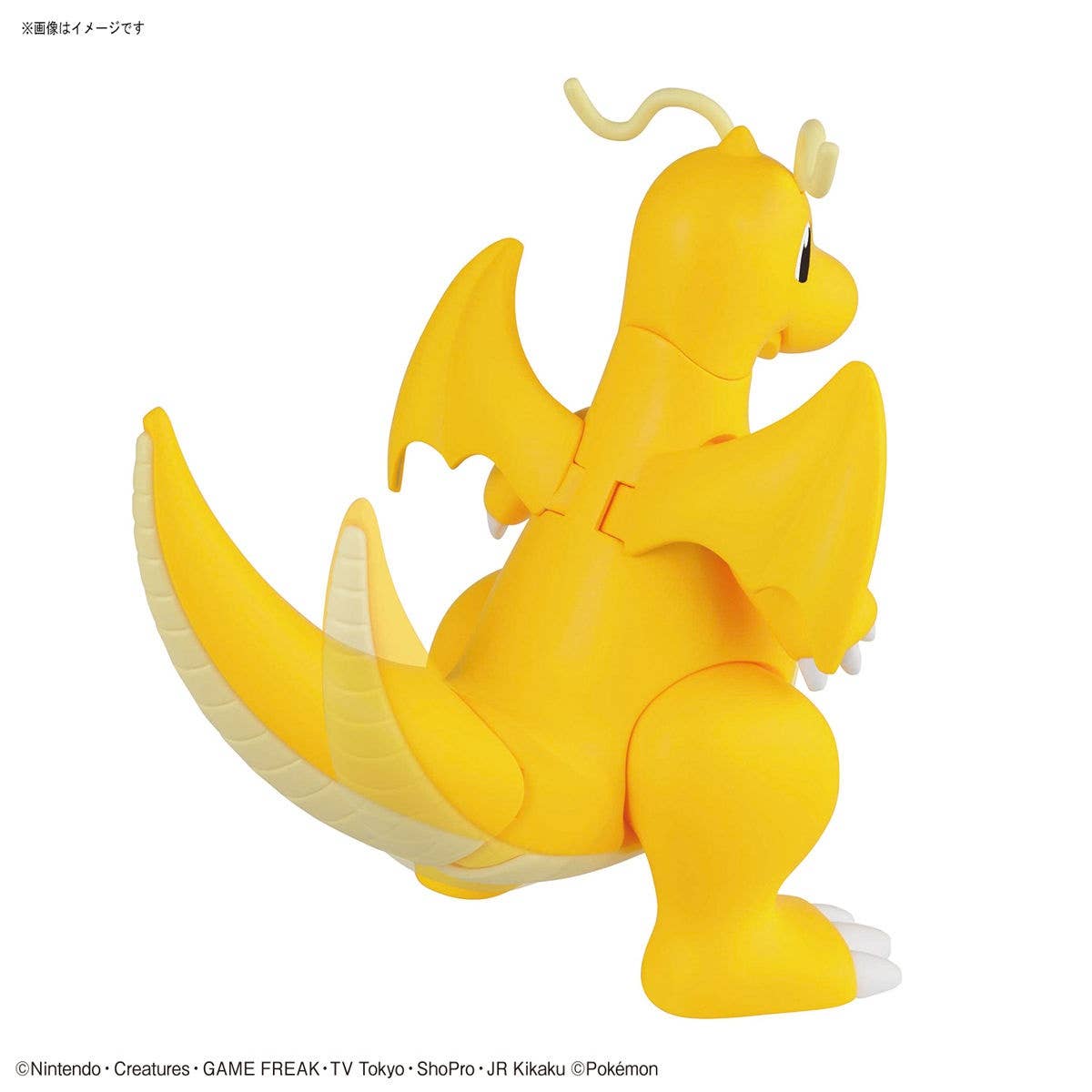 POKEMON MODEL KIT CHARIZARD & DRAGONITE