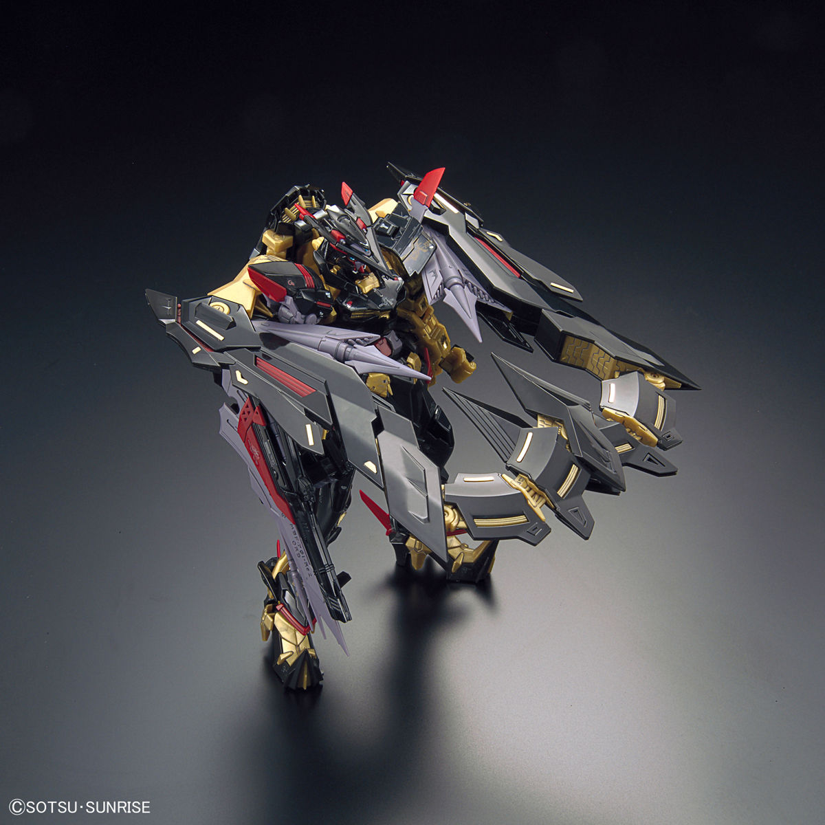RG 1/144 #24 Gundam Astray Gold Frame Amatsu Mina
